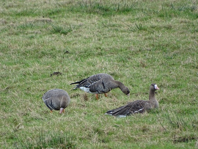 我能给球队 我能给球队