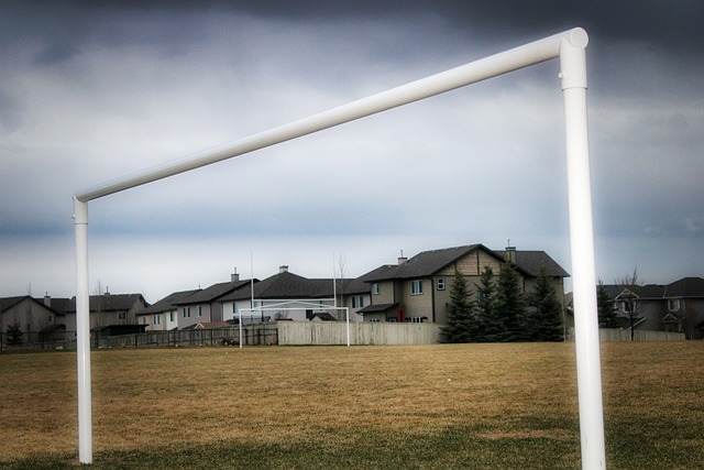 助球員重拾 助球員重拾