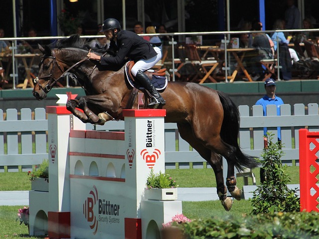 这意味着金 这意味着金