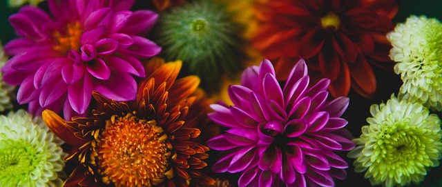 因素导致的 因素导致的