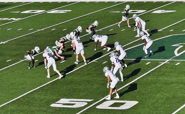 一个大脑 一个大脑